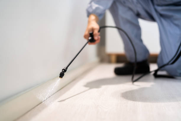 Bed Bug Pre-Treatment Preparation Assessment in Hoback