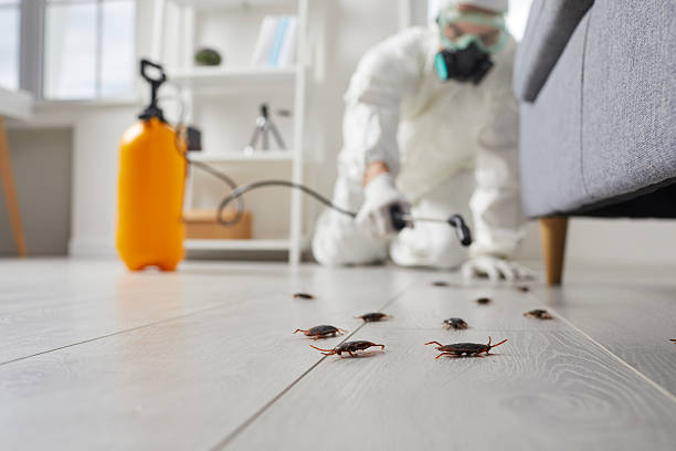 Post-Treatment Bed Bug Interceptor Monitoring in Hoback