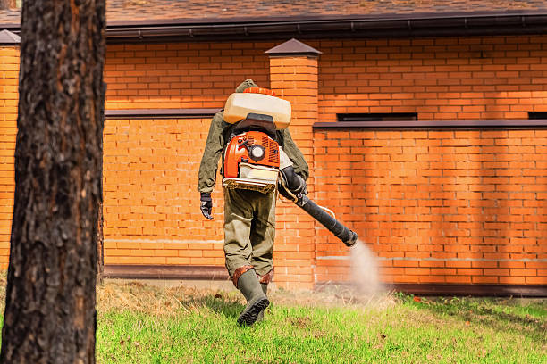 Bed Bug Clearance Verification and Documentation in Hoback